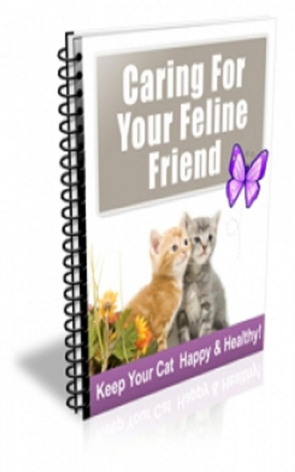 Big bigCover of How To Caring For Your Feline Friend