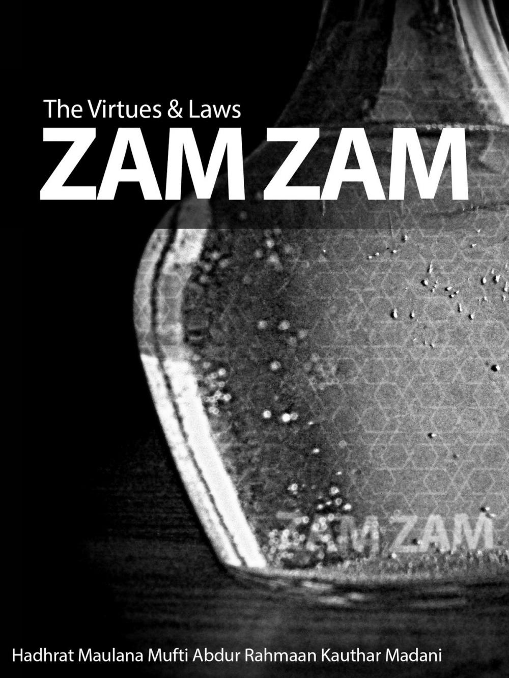 Big bigCover of The Virtues & Laws of Zam Zam