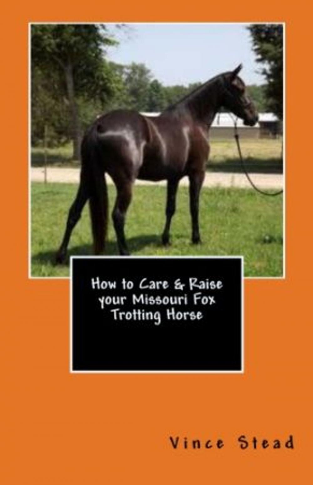 Big bigCover of How to Care & Raise your Missouri Fox Trotting Horse