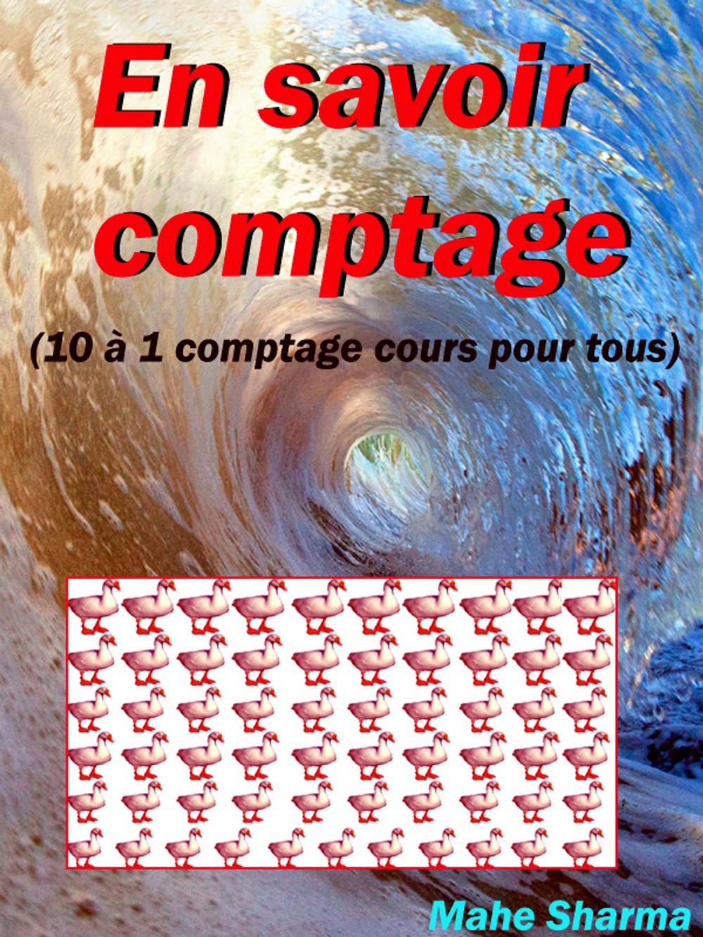 Big bigCover of En savoir comptage