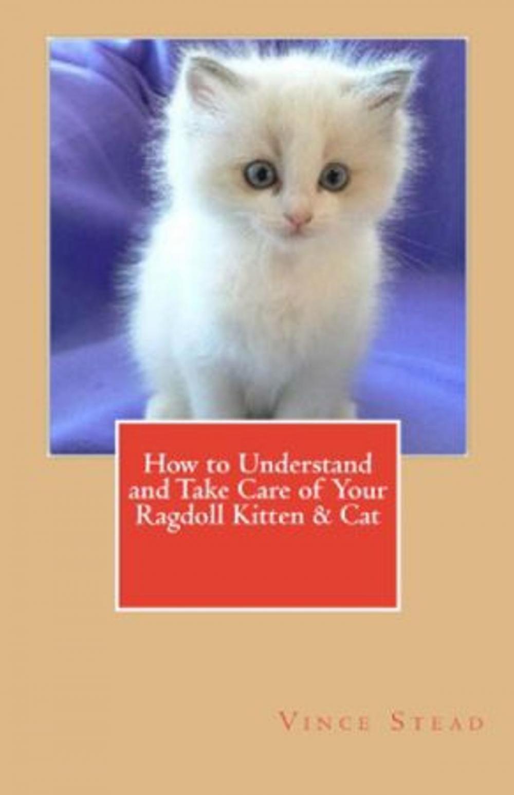 Big bigCover of How to Understand and Take Care of Your Ragdoll Kitten & Cat