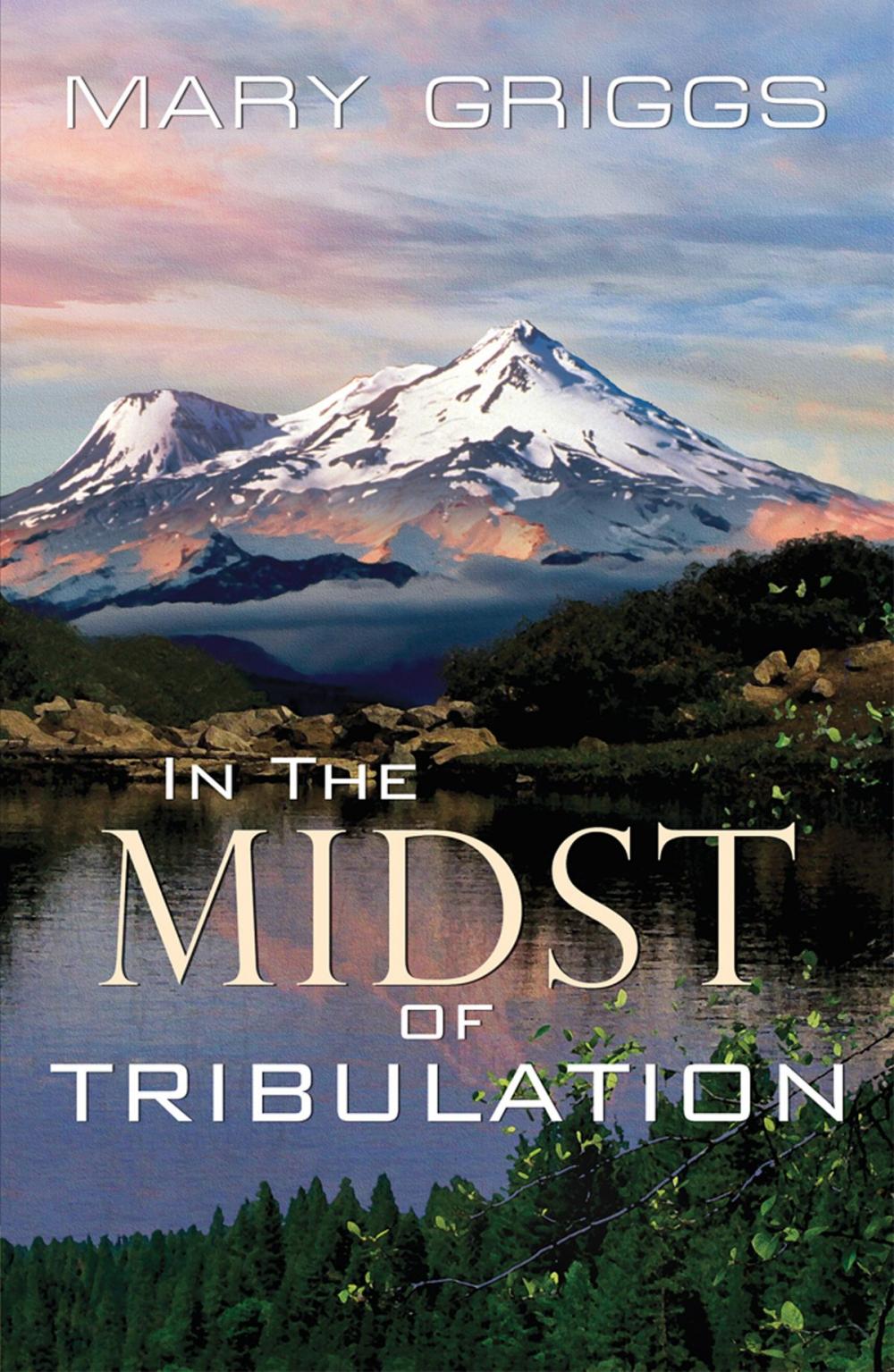 Big bigCover of In the Midst of Tribulation