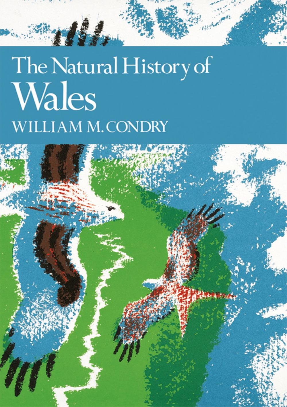 Big bigCover of The Natural History of Wales (Collins New Naturalist Library, Book 66)