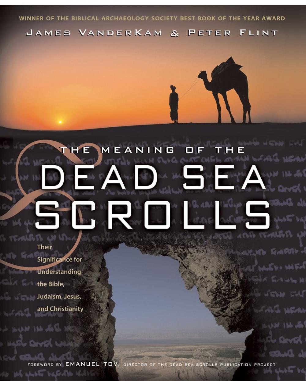 Big bigCover of The Meaning of the Dead Sea Scrolls