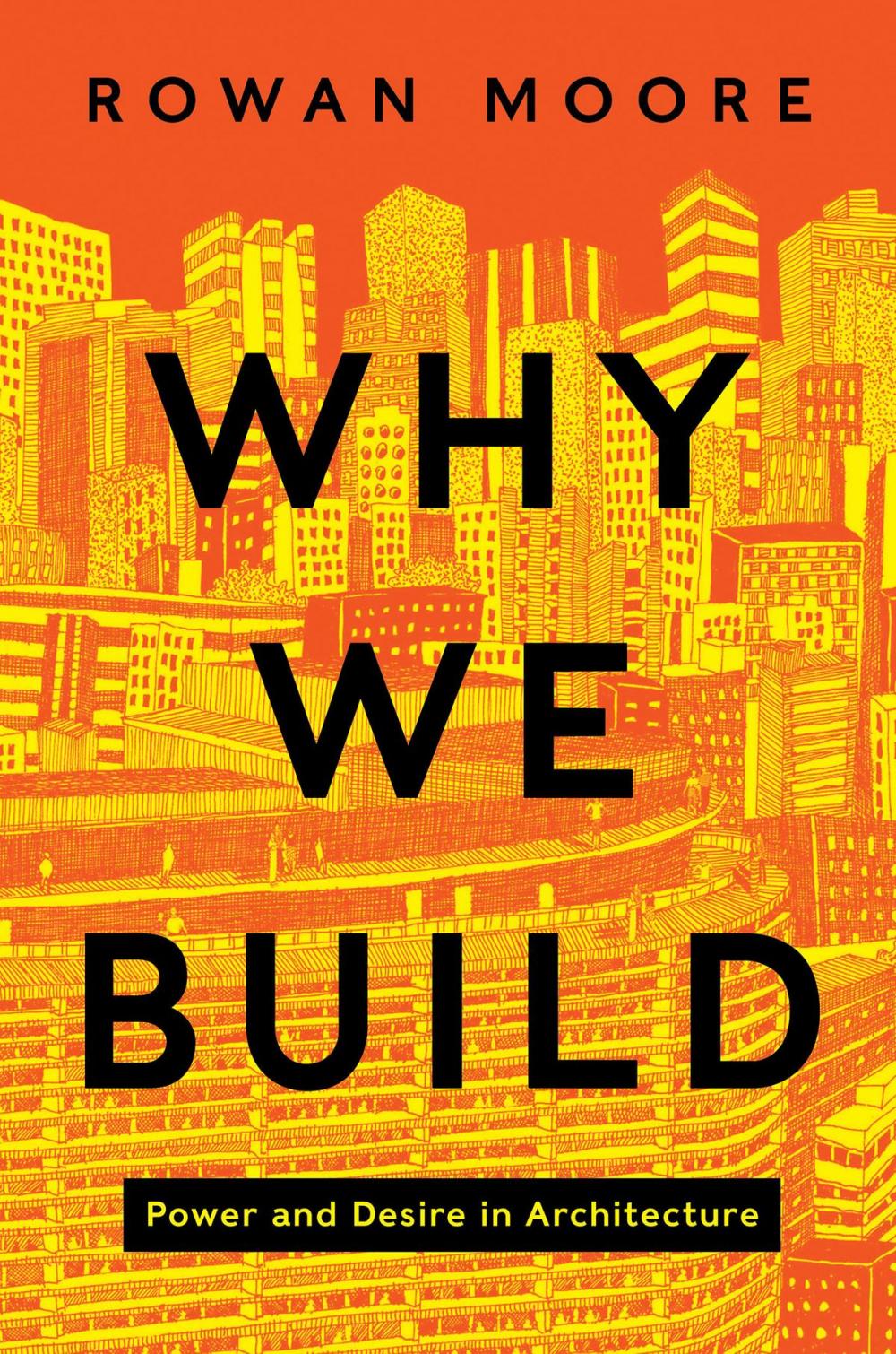 Big bigCover of Why We Build