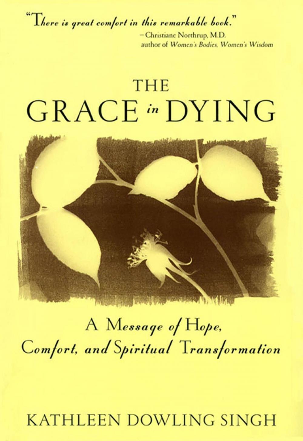 Big bigCover of The Grace in Dying