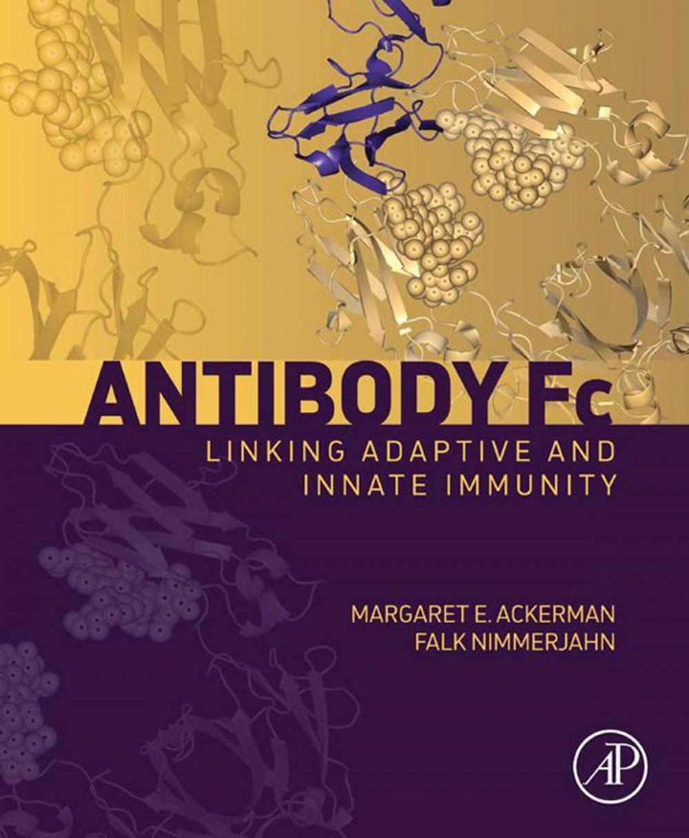 Big bigCover of Antibody Fc