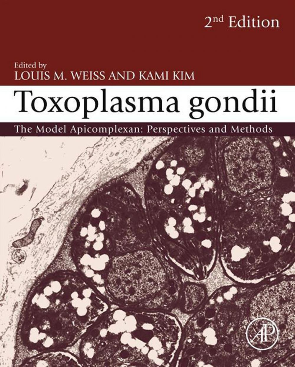 Big bigCover of Toxoplasma Gondii