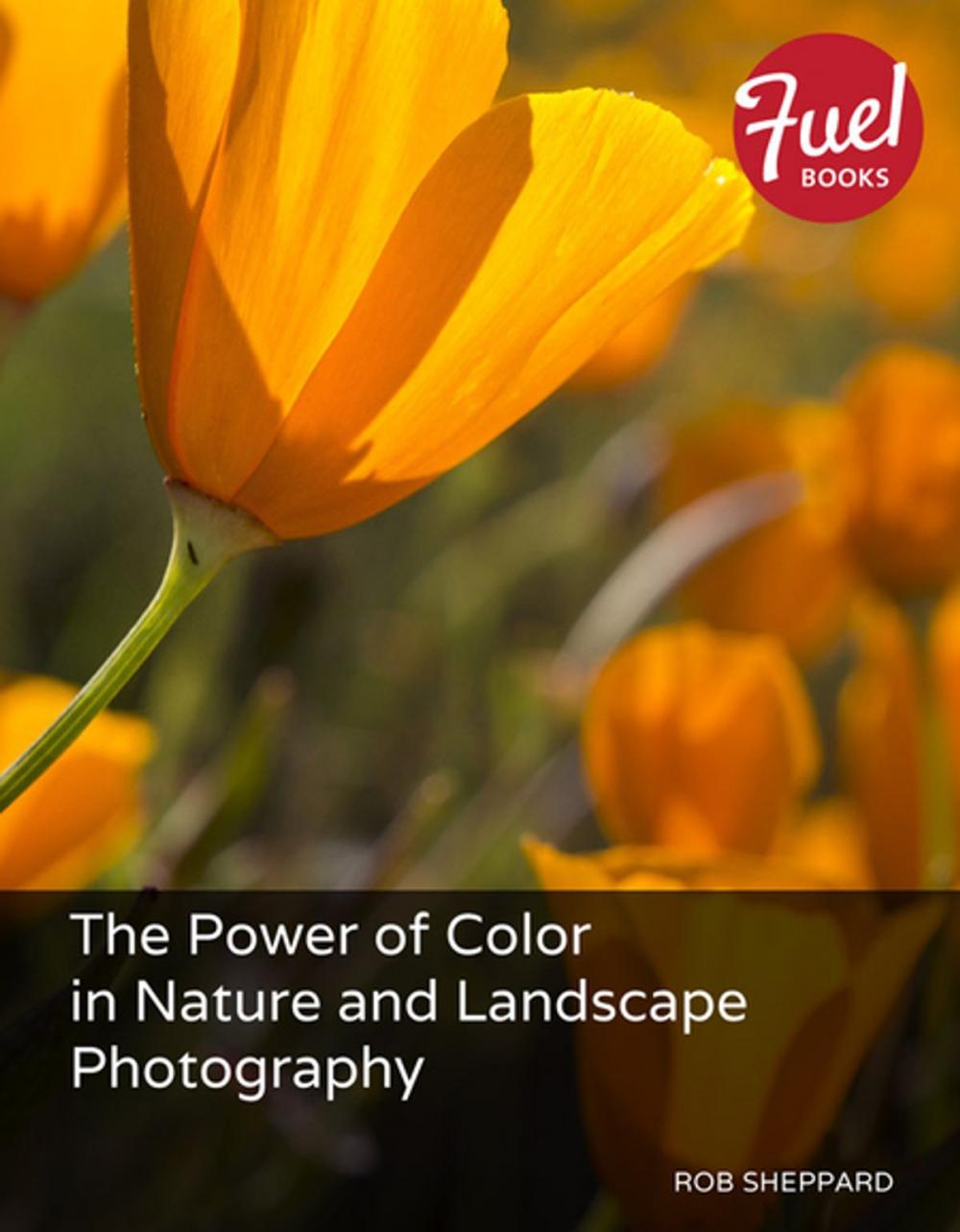 Big bigCover of The Power of Color in Nature and Landscape Photography