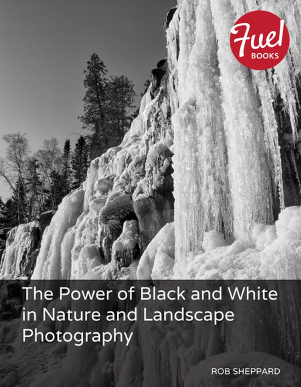 Big bigCover of The Power of Black and White in Nature and Landscape Photography