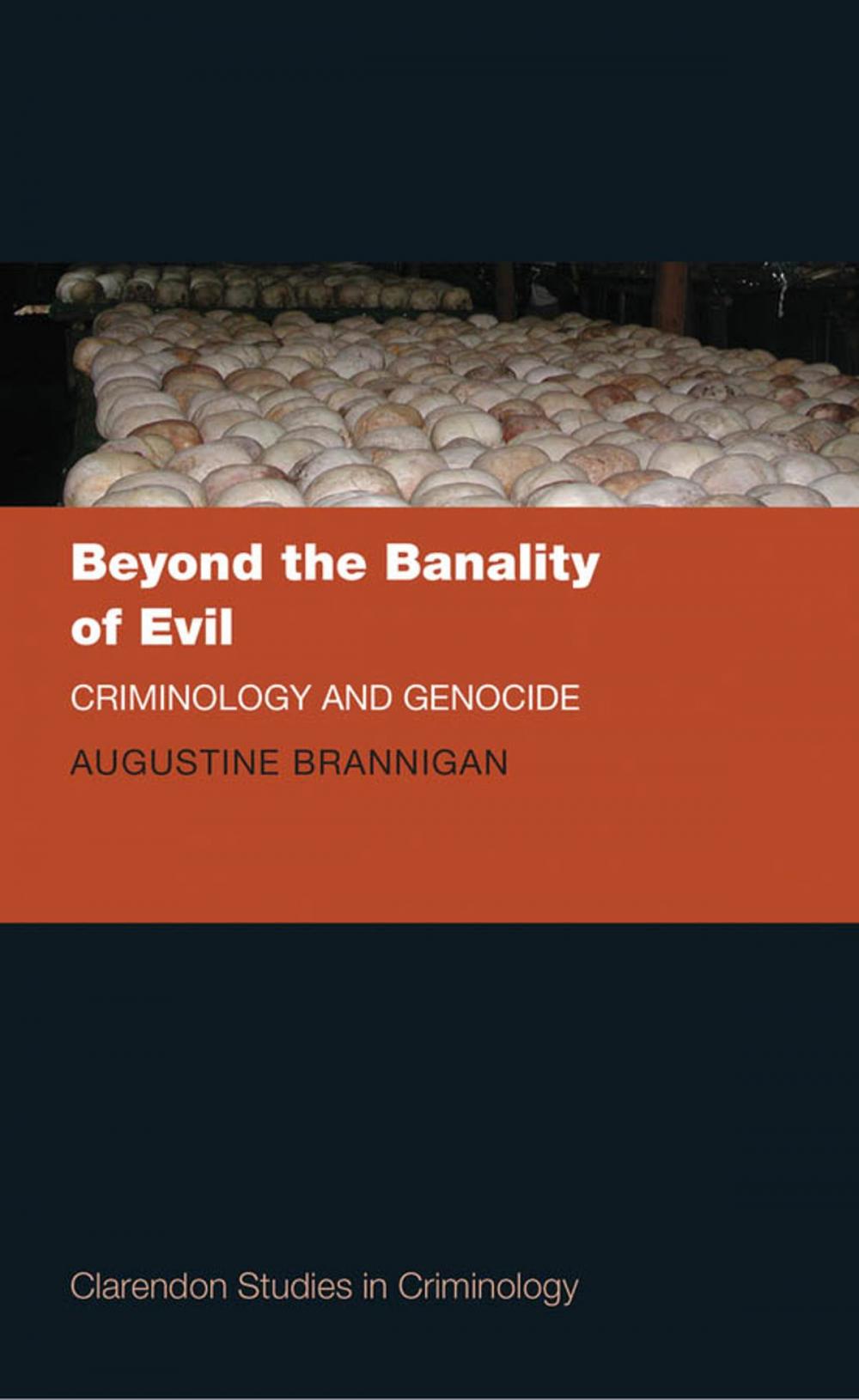 Big bigCover of Beyond the Banality of Evil