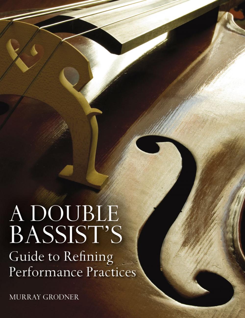 Big bigCover of A Double Bassist’s Guide to Refining Performance Practices