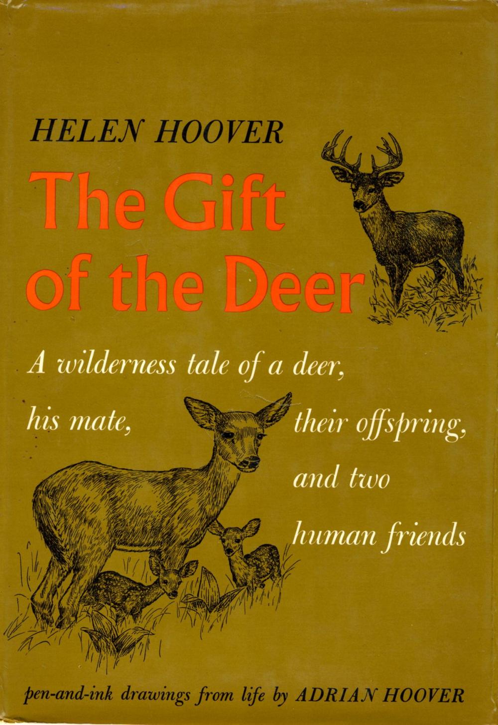 Big bigCover of GIFT OF DEER