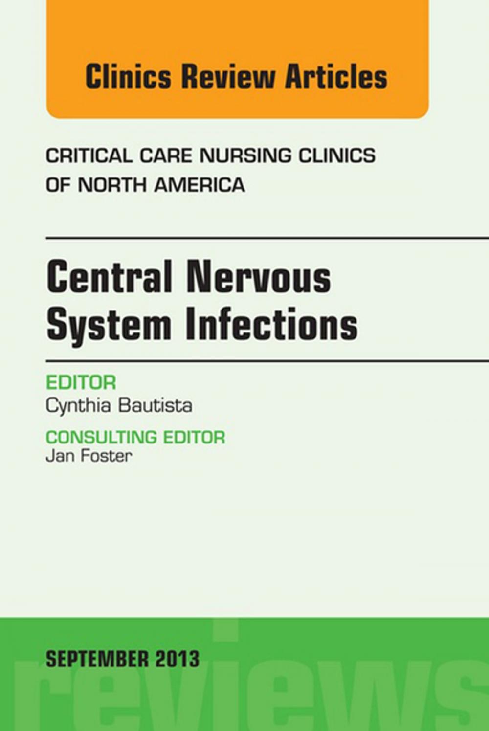 Big bigCover of Central Nervous System Infections, An Issue of Critical Care Nursing Clinics, E-Book