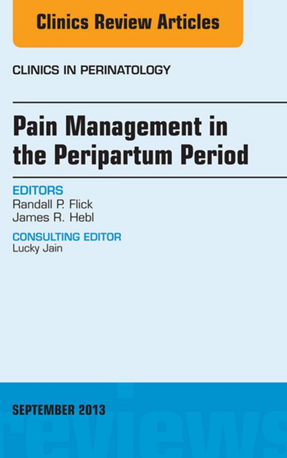 Big bigCover of Pain Management in the Postpartum Period, An Issue of Clinics in Perinatology, E-Book