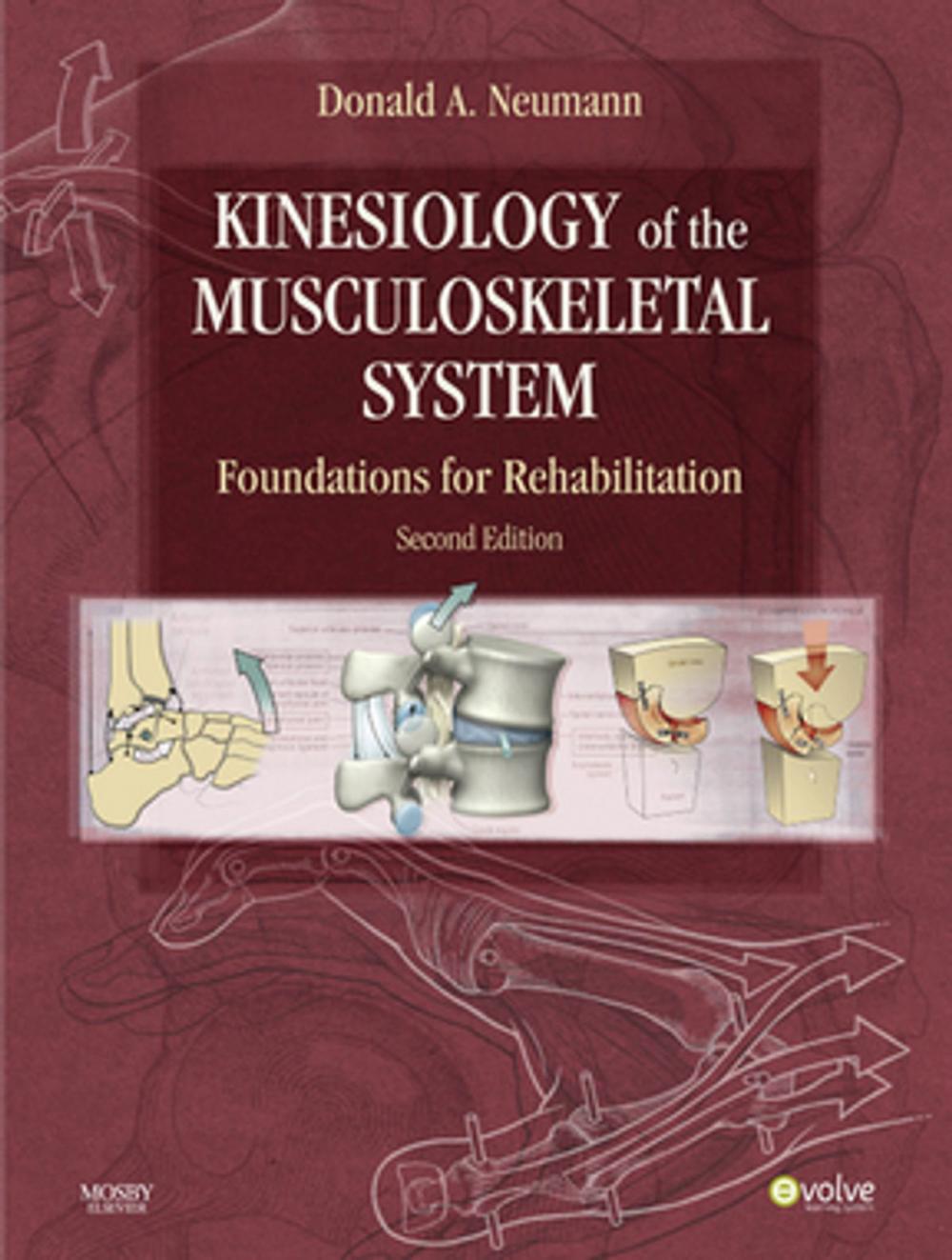 Big bigCover of Kinesiology of the Musculoskeletal System - E-Book