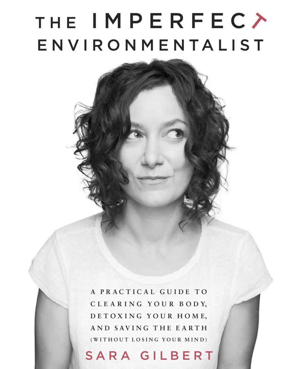 Big bigCover of The Imperfect Environmentalist