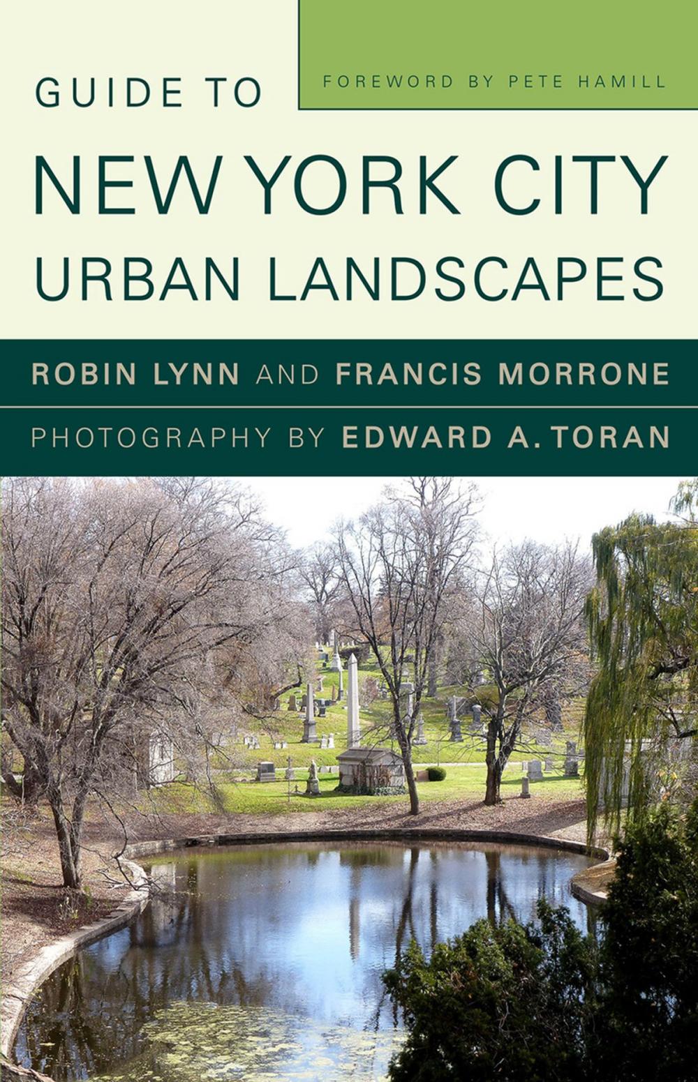 Big bigCover of Guide to New York City Urban Landscapes