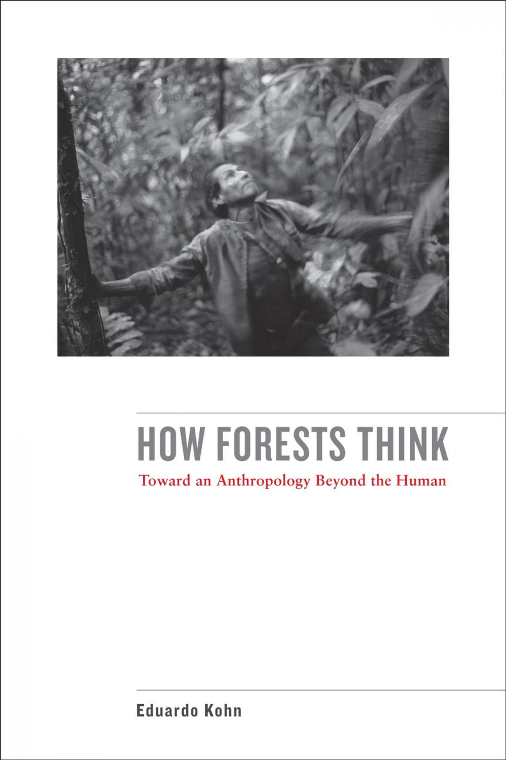 Big bigCover of How Forests Think