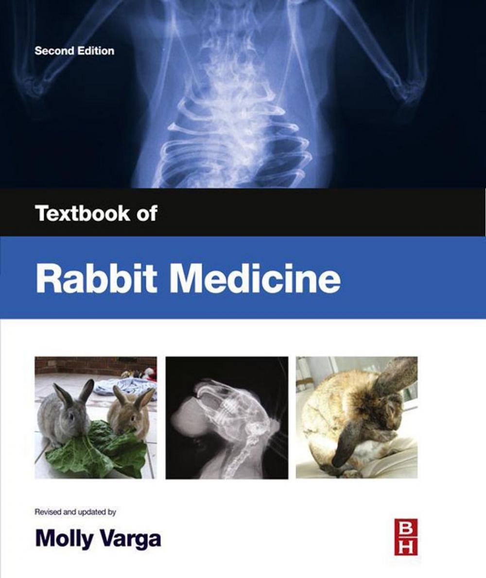 Big bigCover of Textbook of Rabbit Medicine E-Book