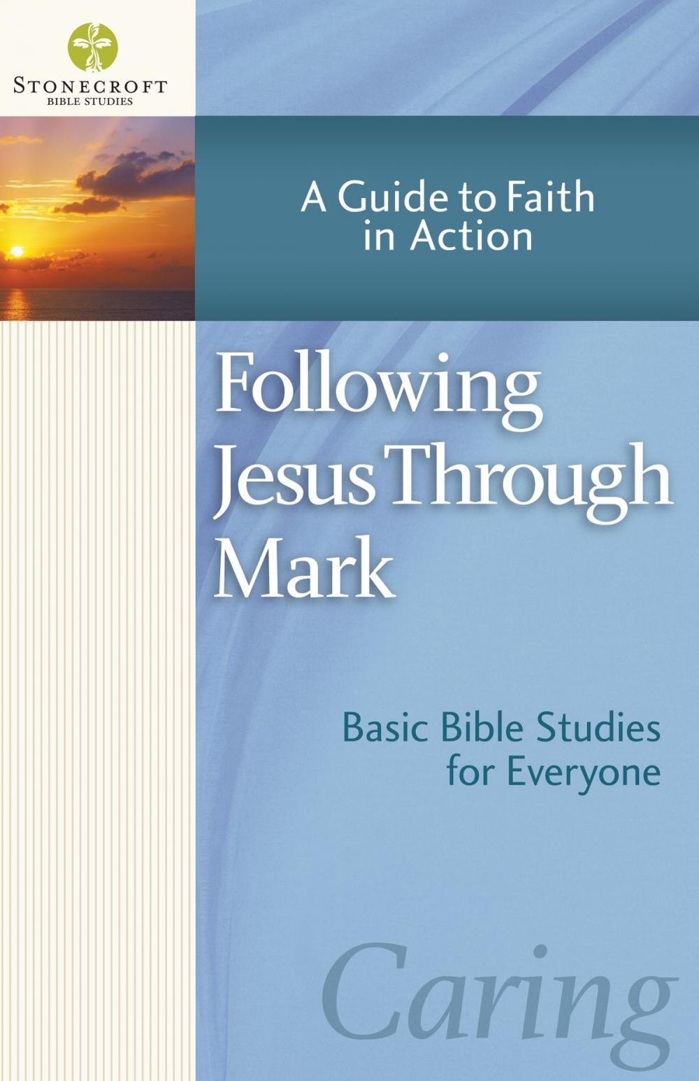 Big bigCover of Following Jesus Through Mark