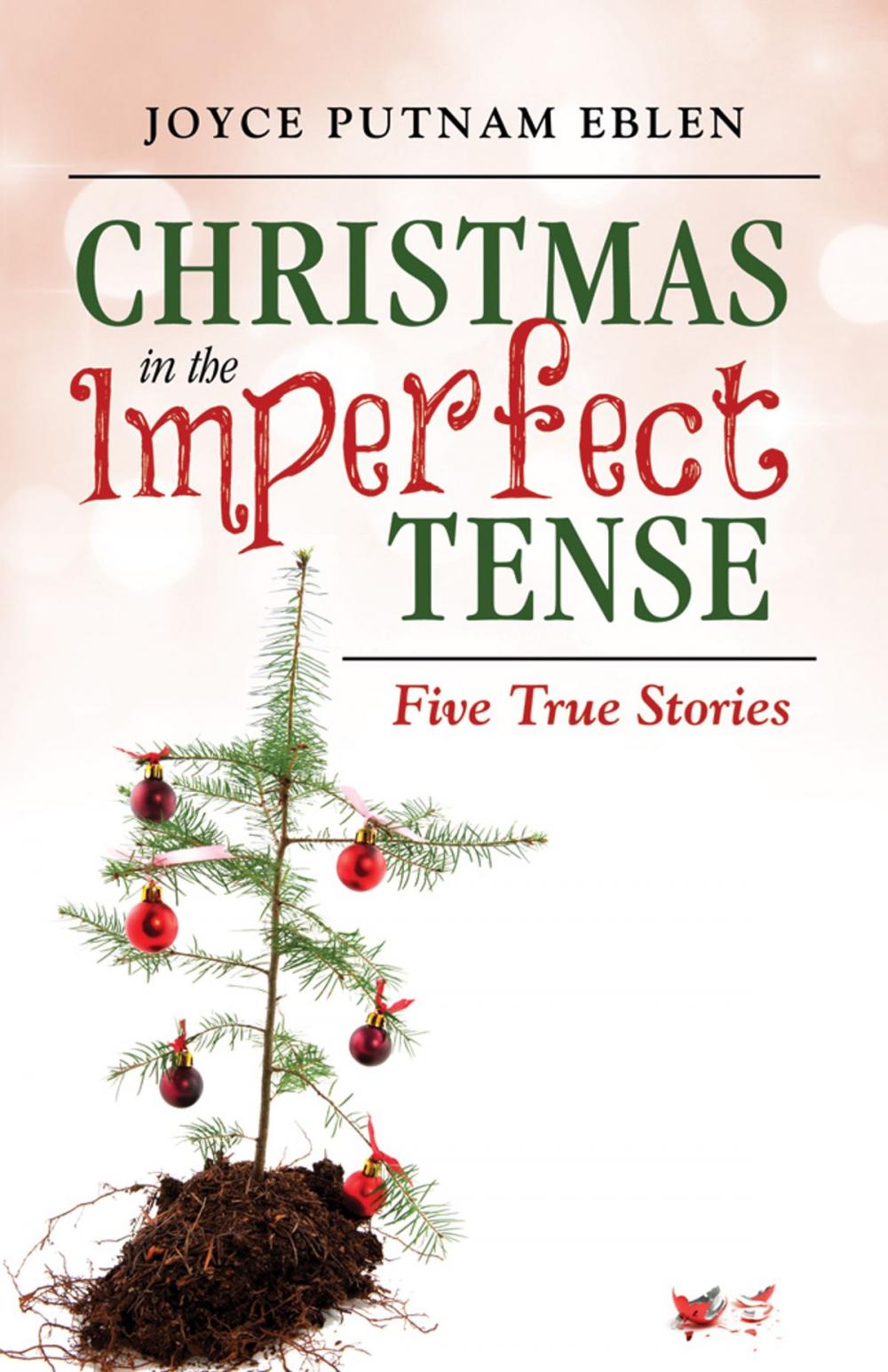 Big bigCover of Christmas in the Imperfect Tense