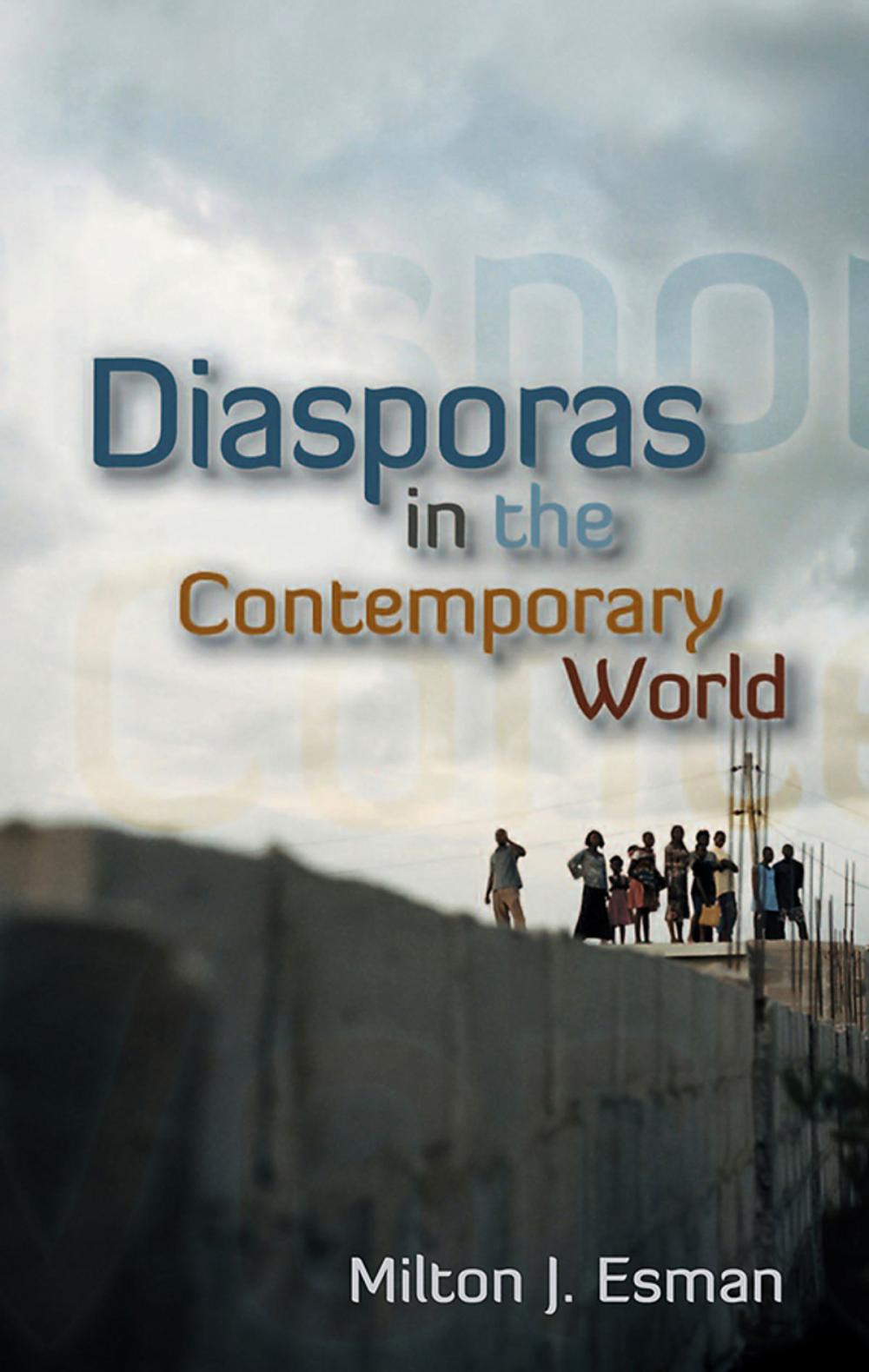 Big bigCover of Diasporas in the Contemporary World