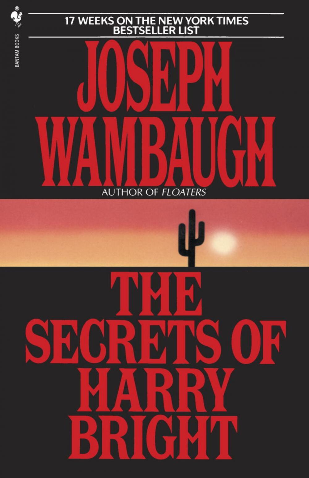 Big bigCover of The Secrets of Harry Bright