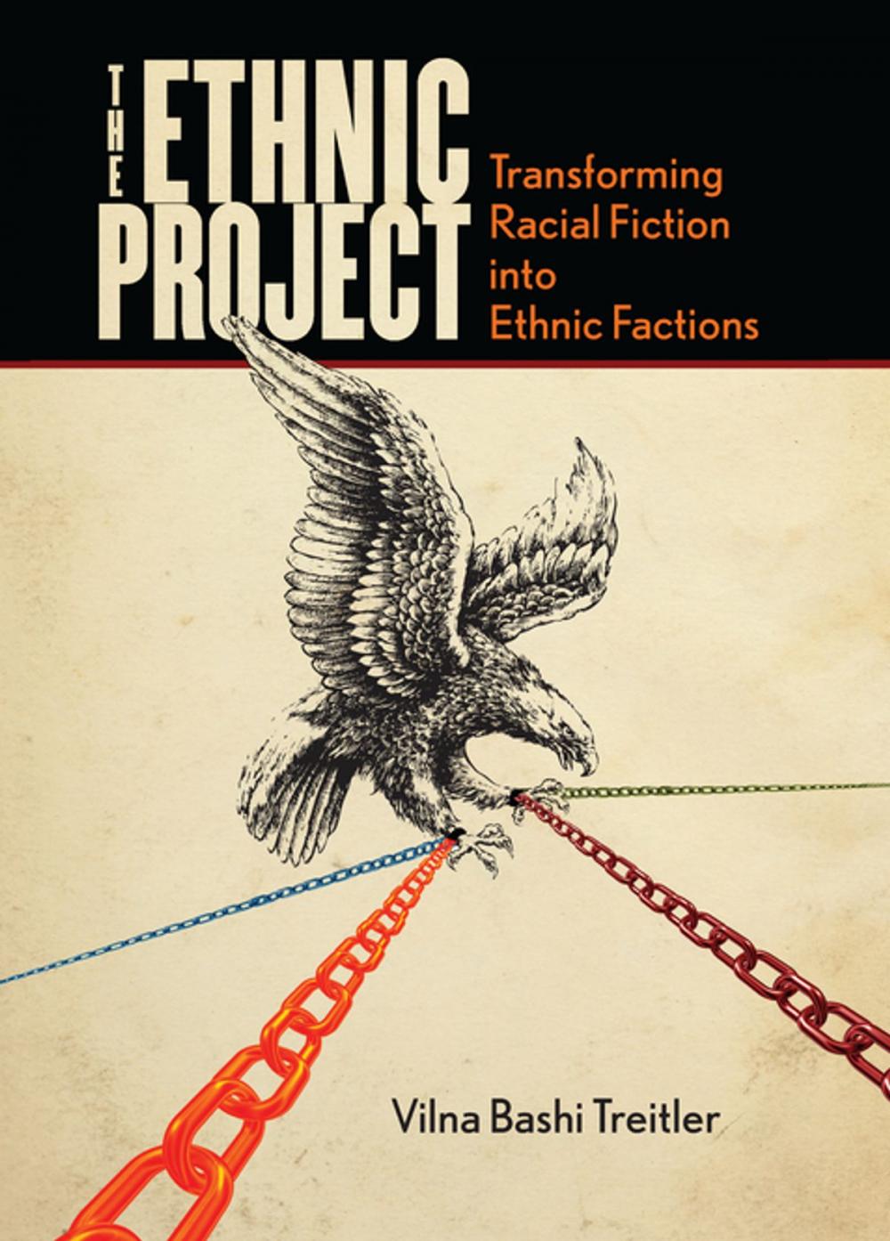 Big bigCover of The Ethnic Project