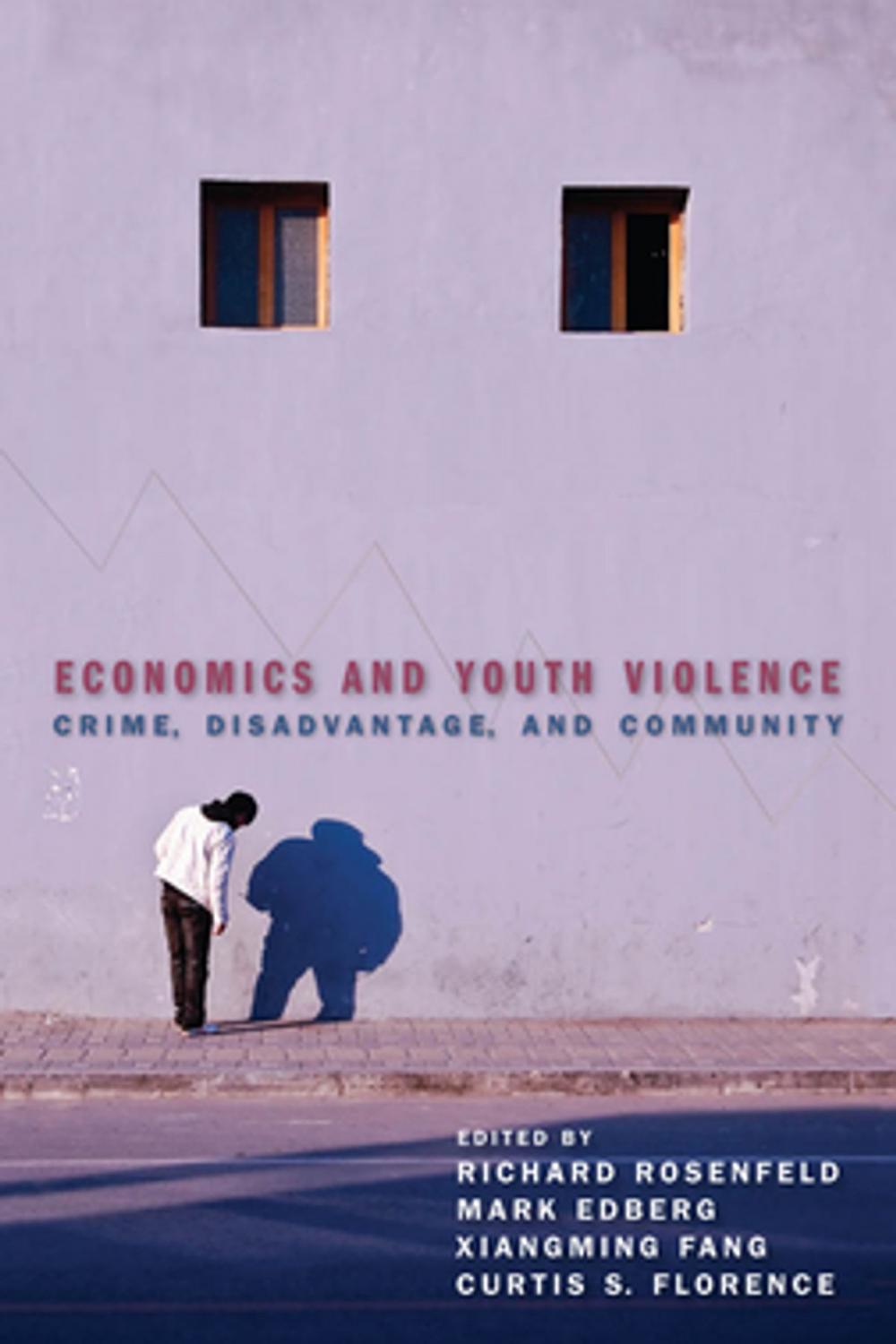 Big bigCover of Economics and Youth Violence