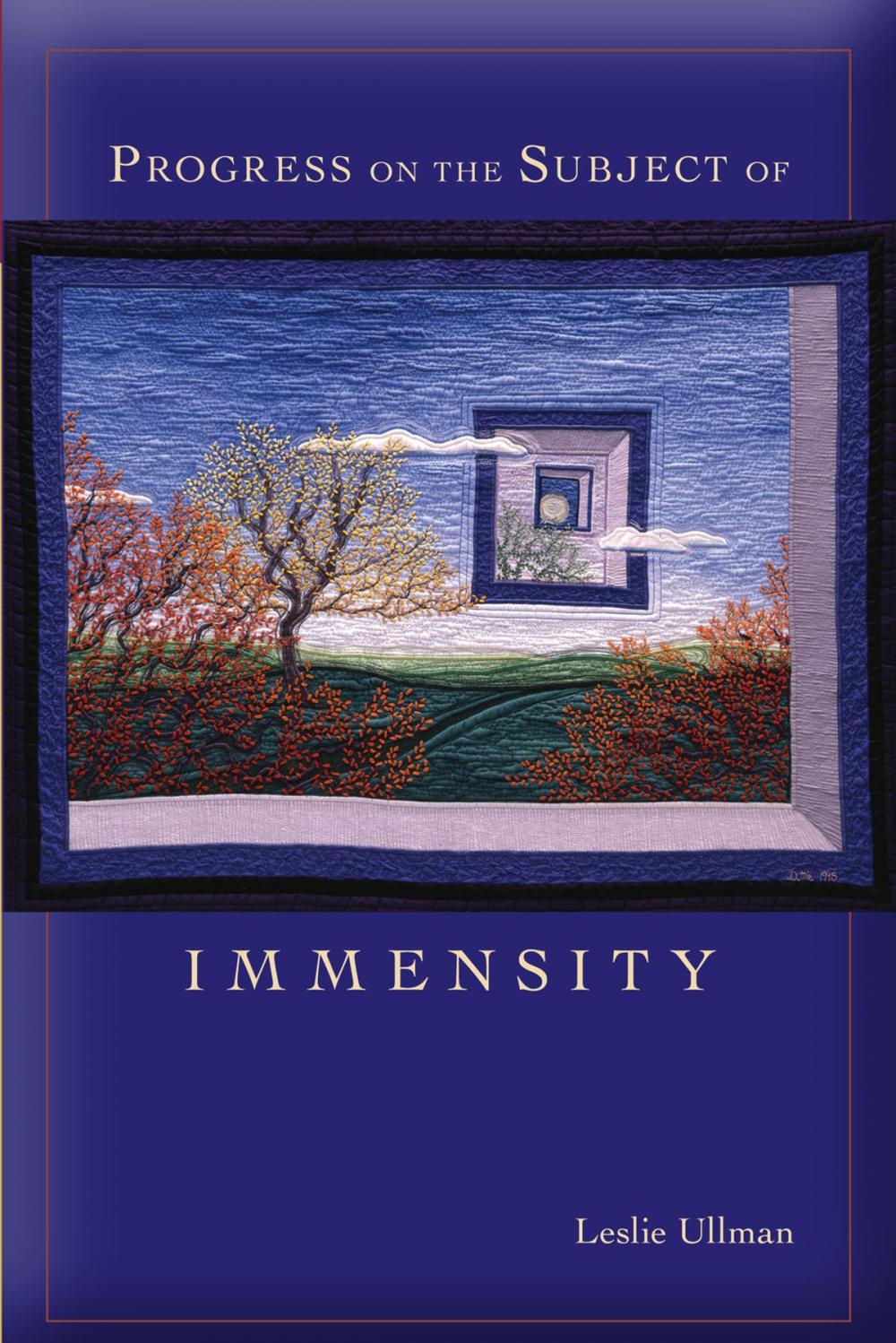 Big bigCover of Progress on the Subject of Immensity