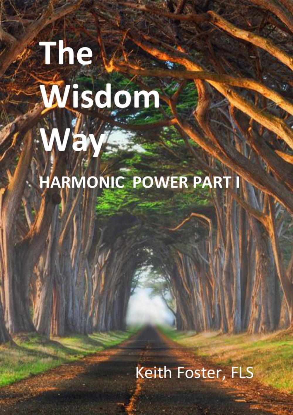 Big bigCover of The Wisdom Way HARMONIC POWER Part I