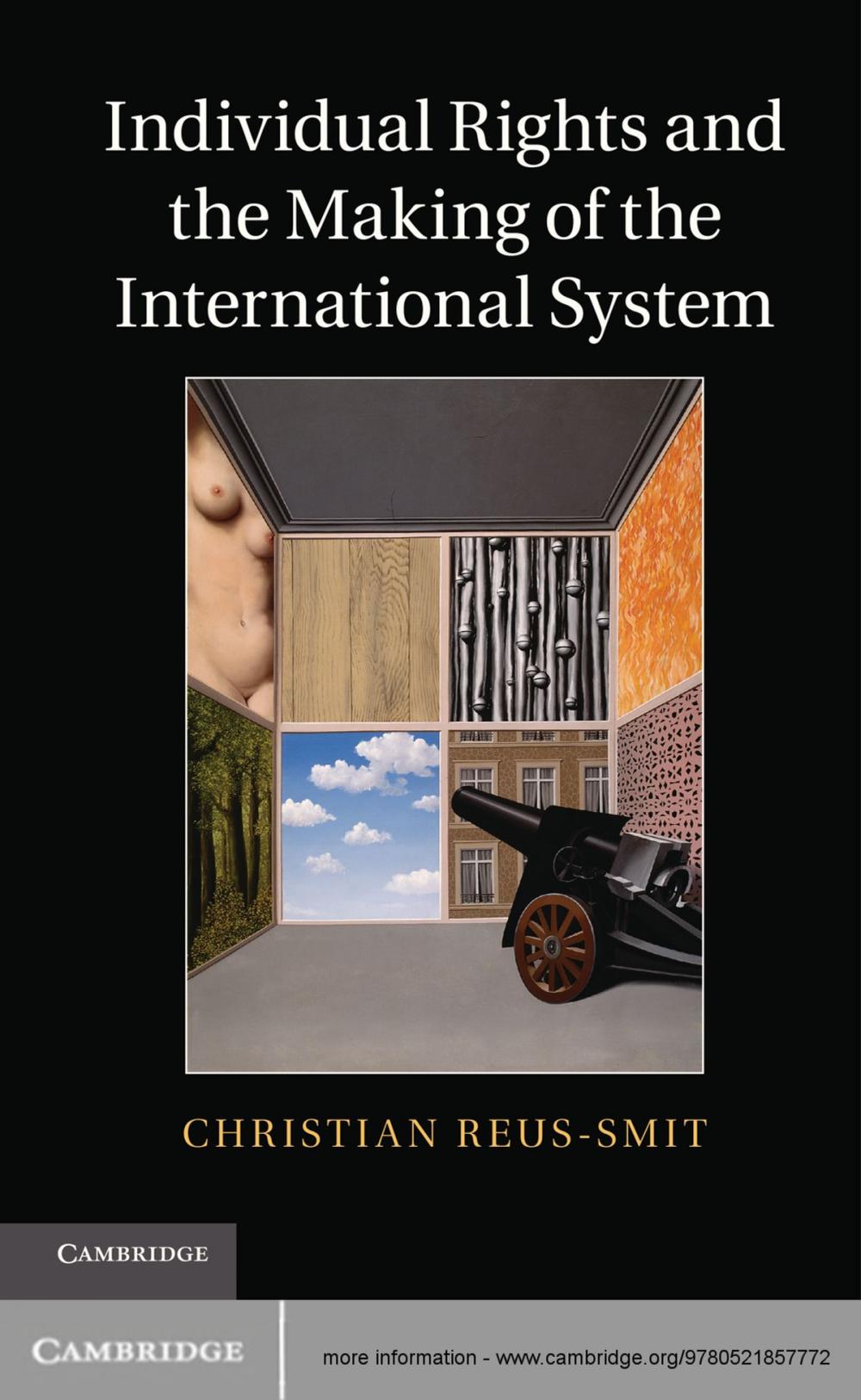 Big bigCover of Individual Rights and the Making of the International System