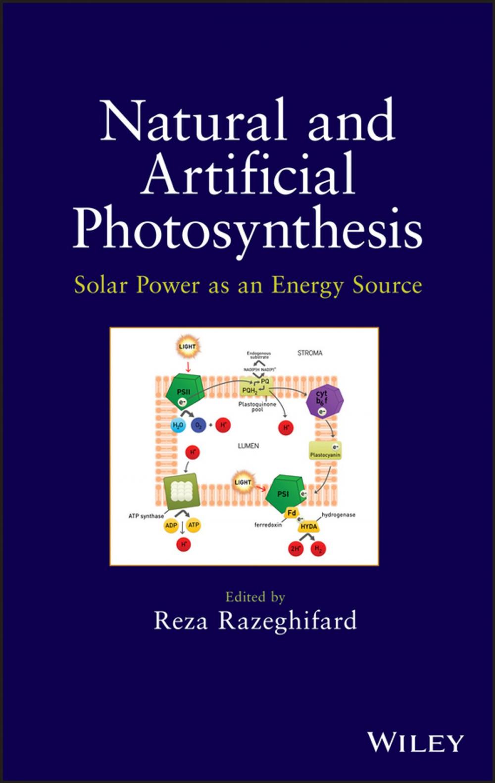 Big bigCover of Natural and Artificial Photosynthesis