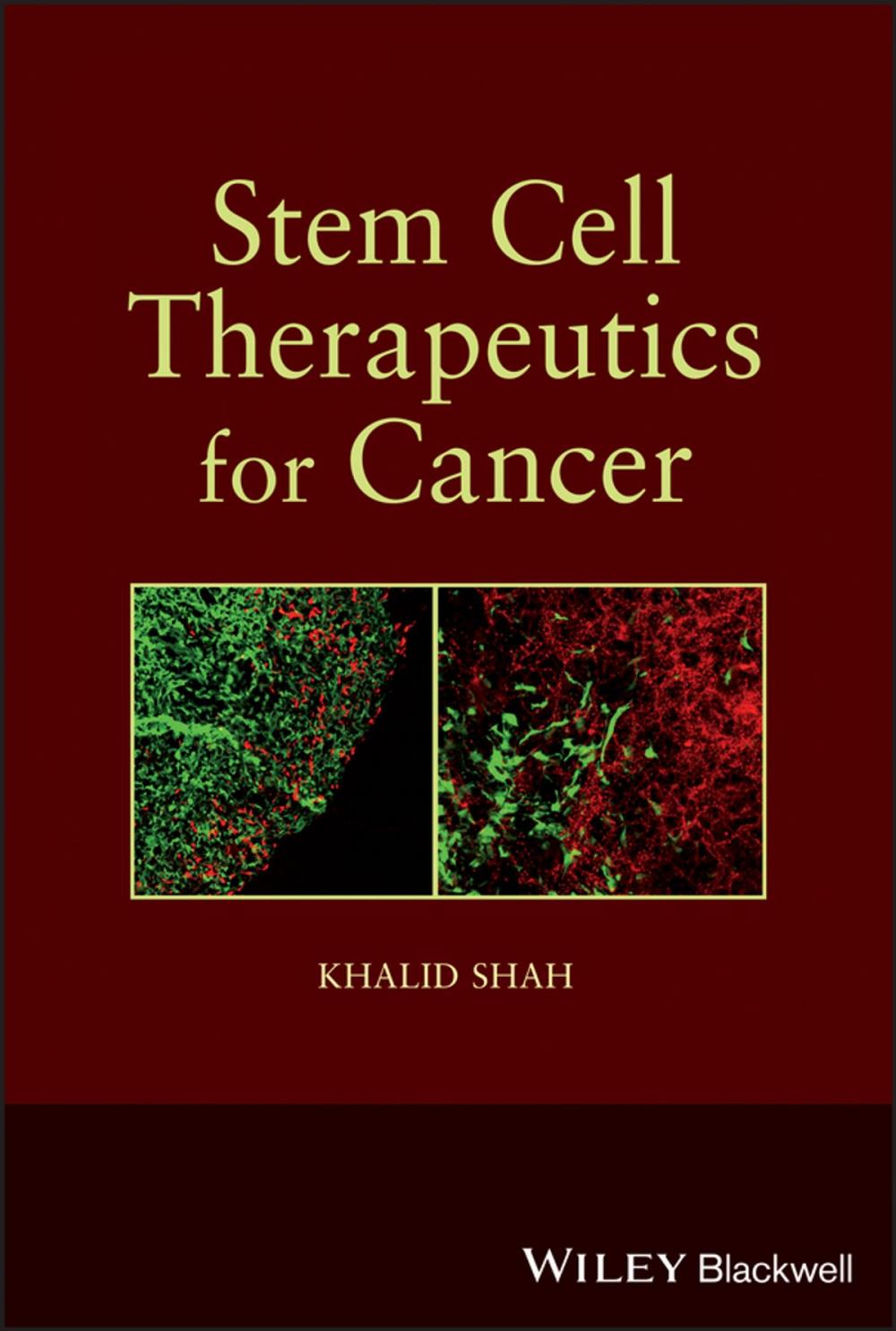 Big bigCover of Stem Cell Therapeutics for Cancer