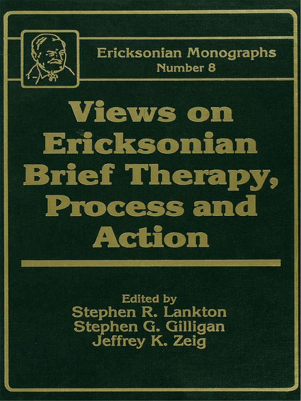 Big bigCover of Views On Ericksonian Brief Therapy