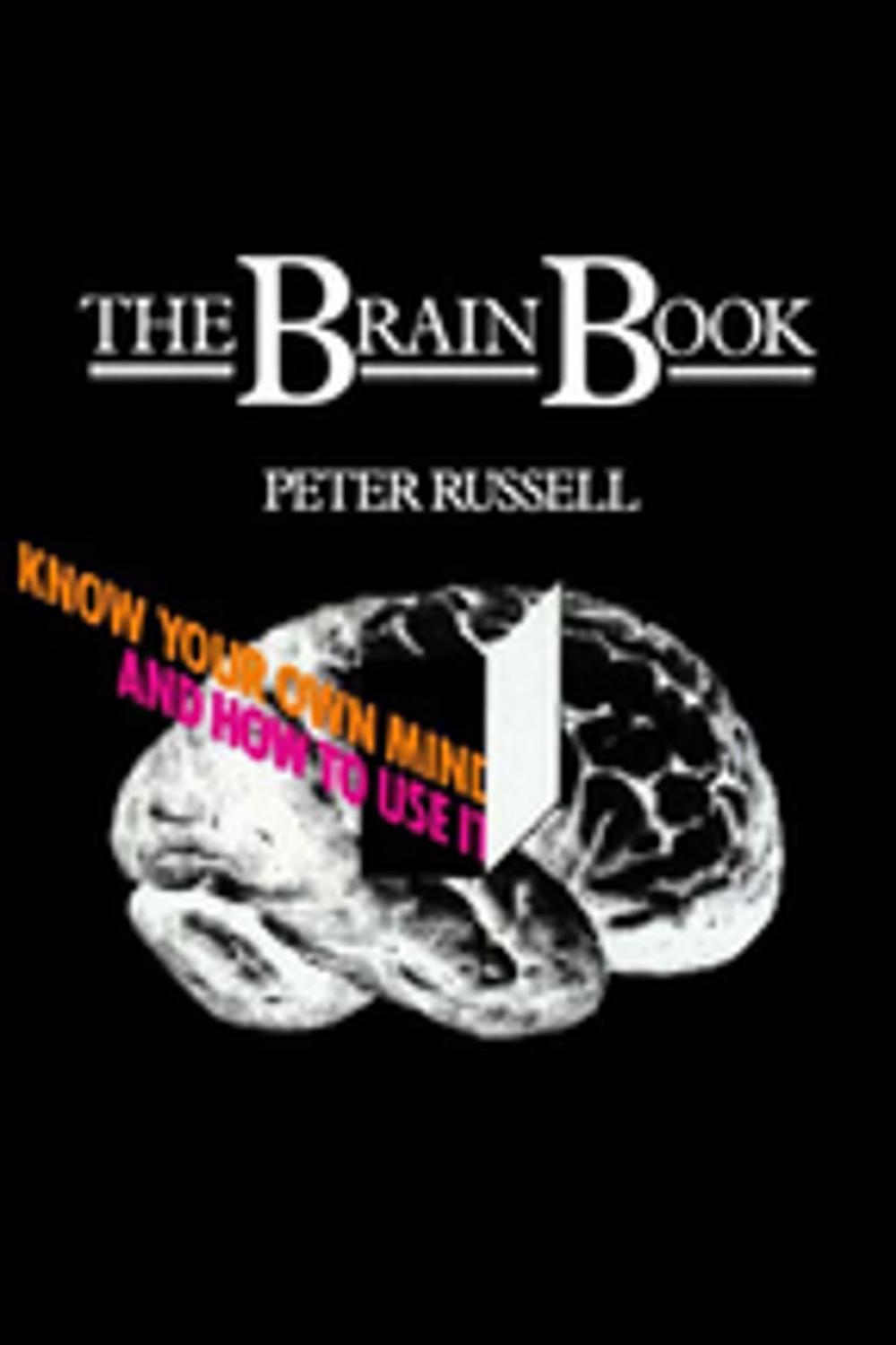 Big bigCover of The Brain Book