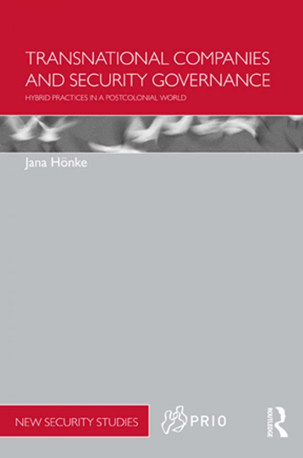 Big bigCover of Transnational Companies and Security Governance