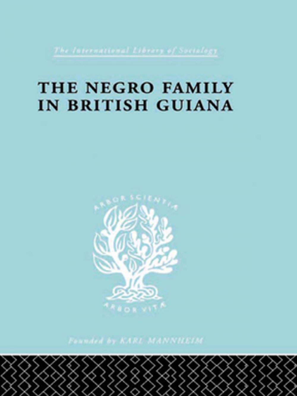 Big bigCover of The Negro Family in British Guiana