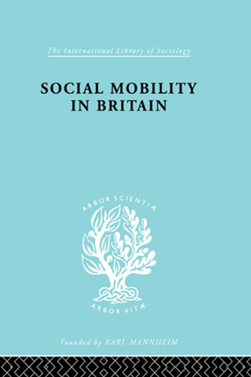 Big bigCover of Social Mobility Brit Ils 117