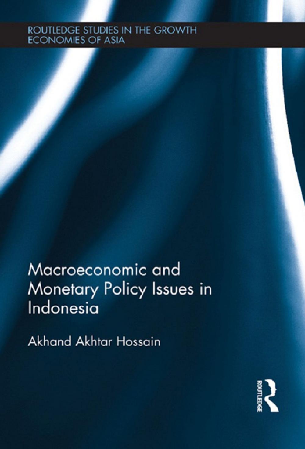 Big bigCover of Macroeconomic and Monetary Policy Issues in Indonesia