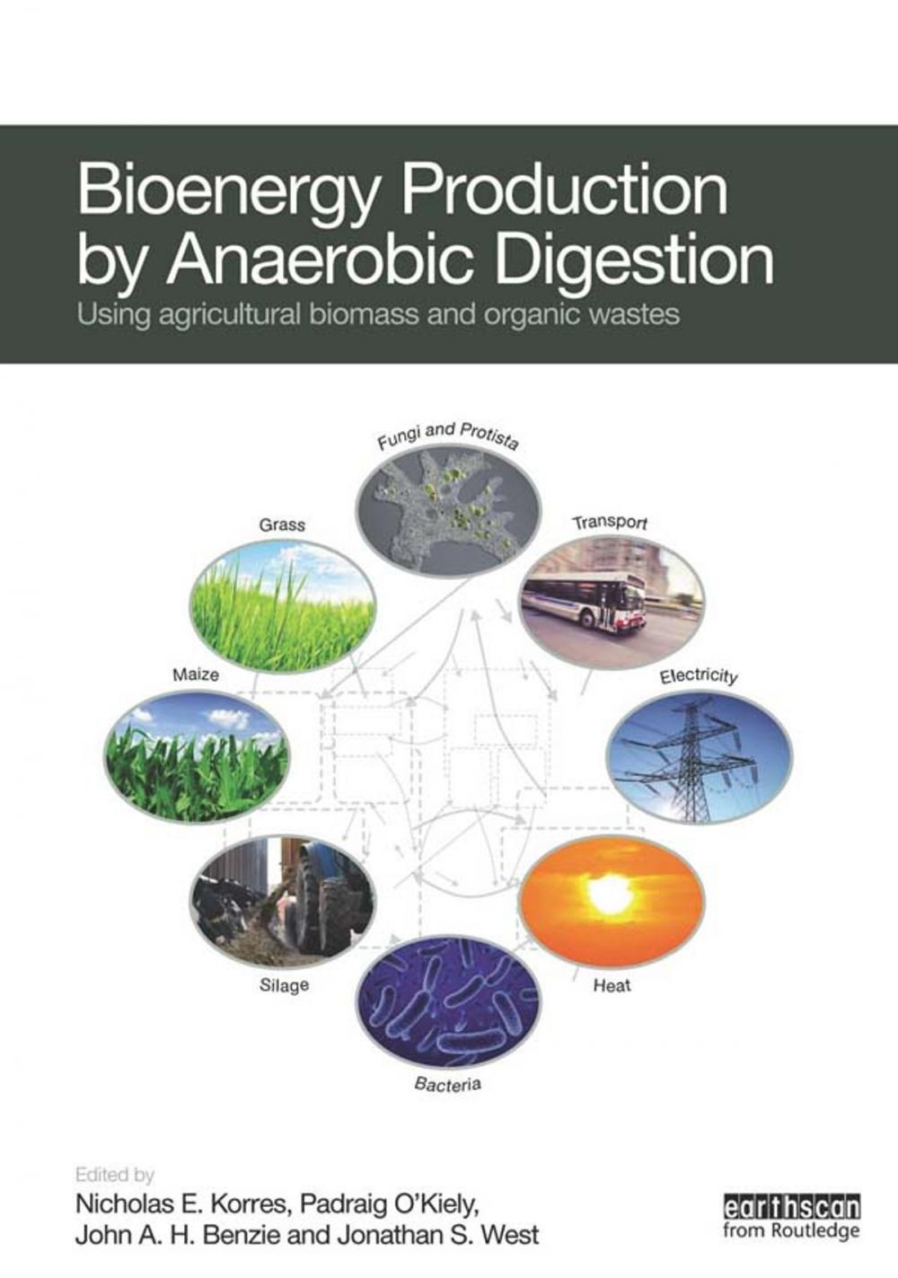 Big bigCover of Bioenergy Production by Anaerobic Digestion