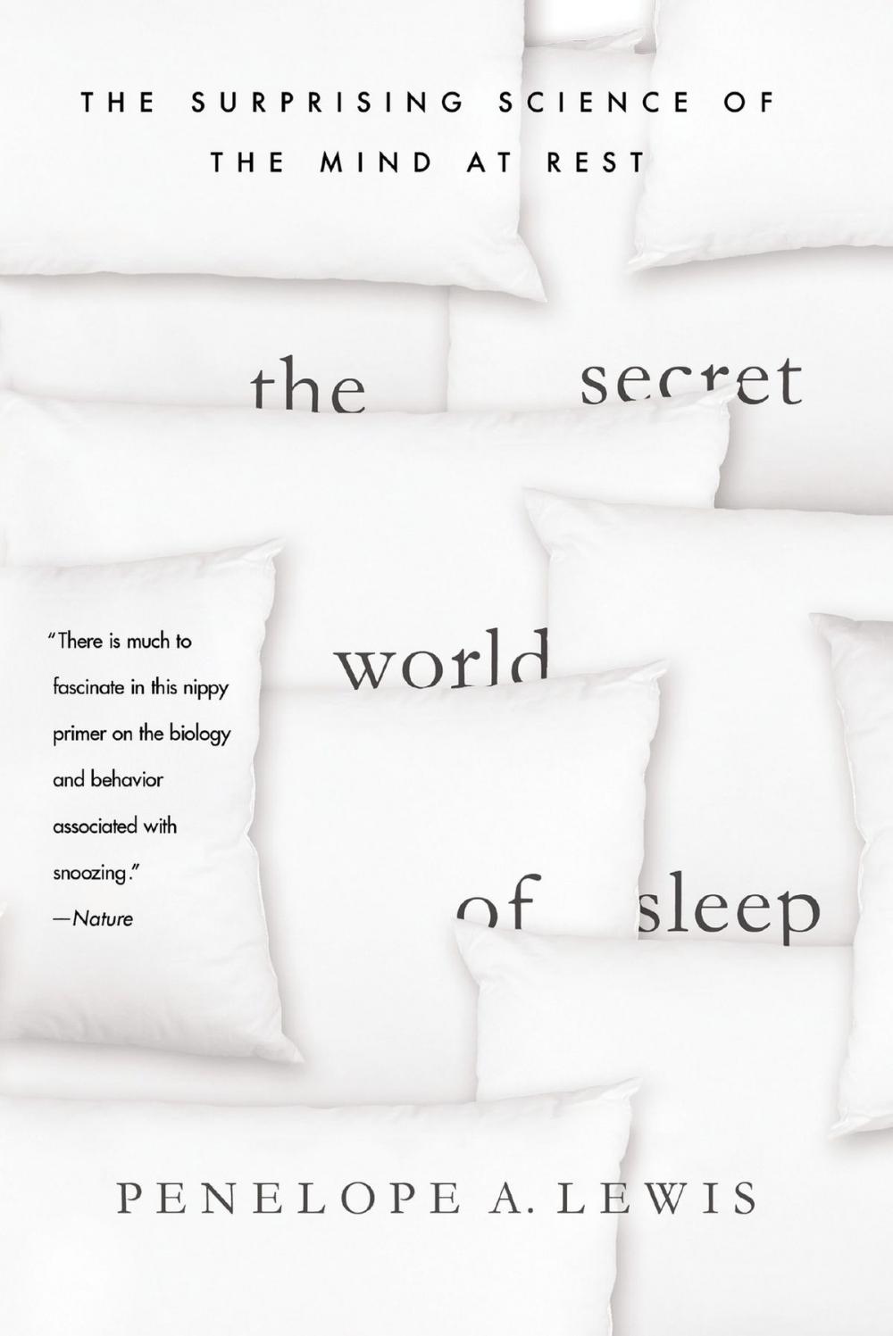 Big bigCover of The Secret World of Sleep