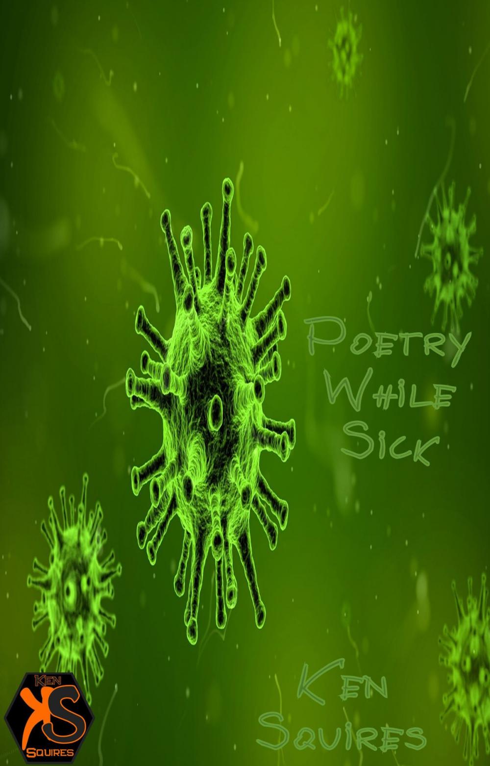 Big bigCover of Poetry While Sick