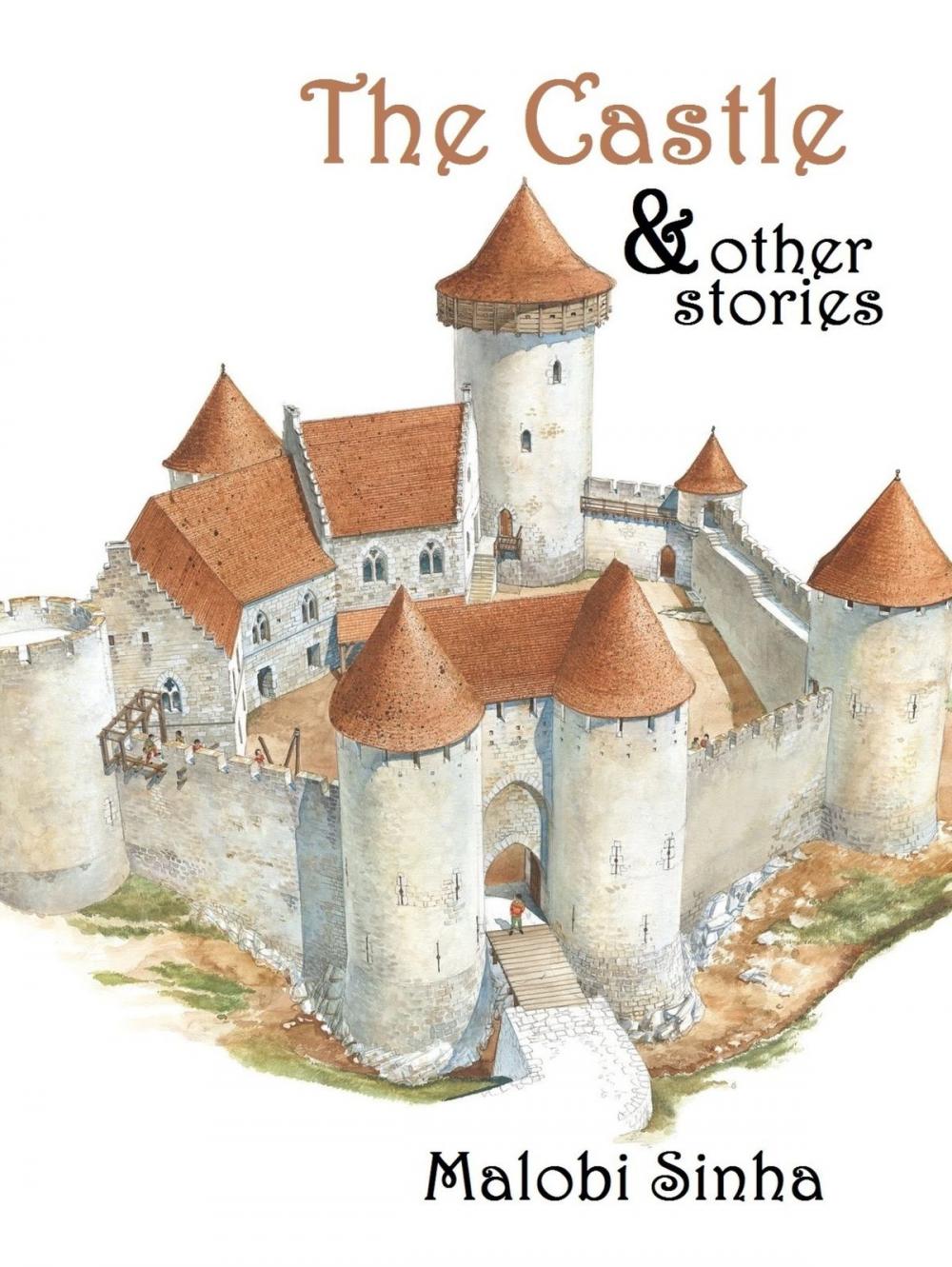 Big bigCover of The Castle & Other Stories