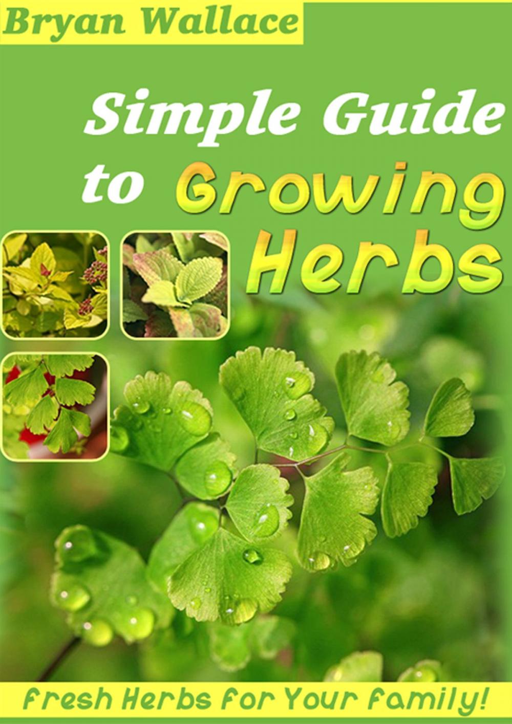 Big bigCover of Simple Guide to Grow Herbs