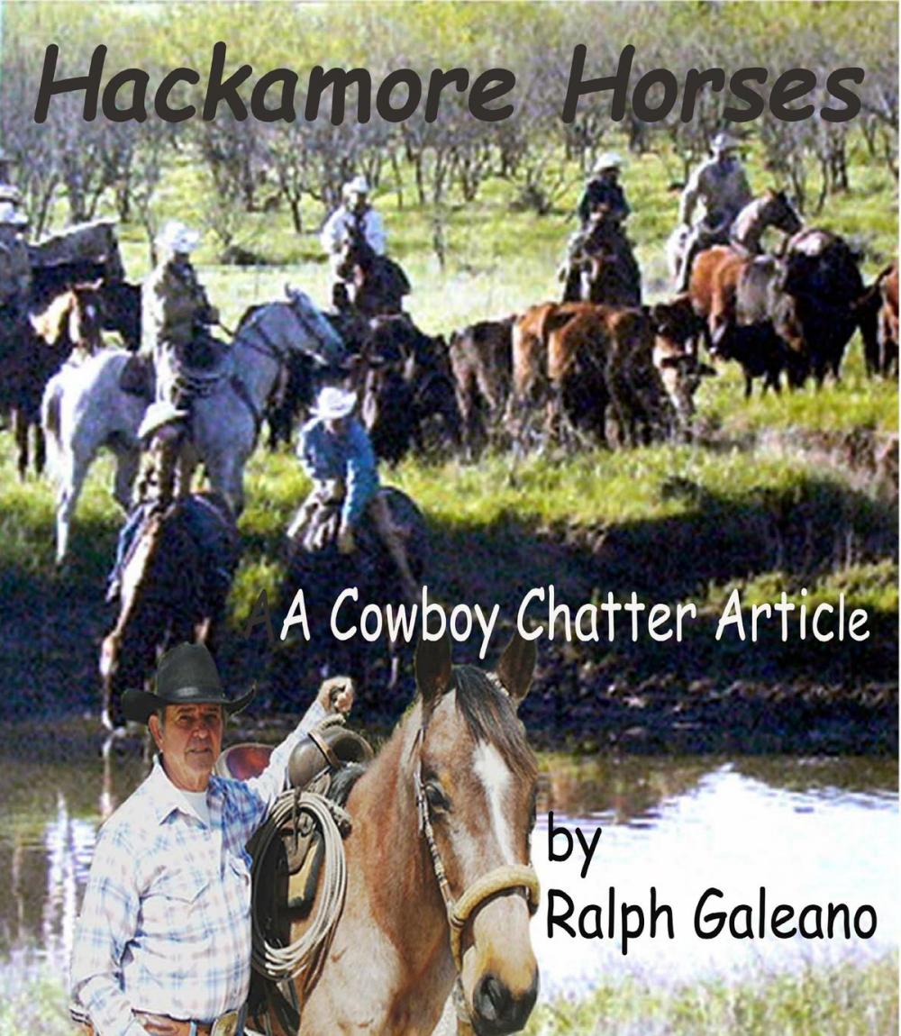 Big bigCover of Hackamore Horses A Cowboy Chatter Article