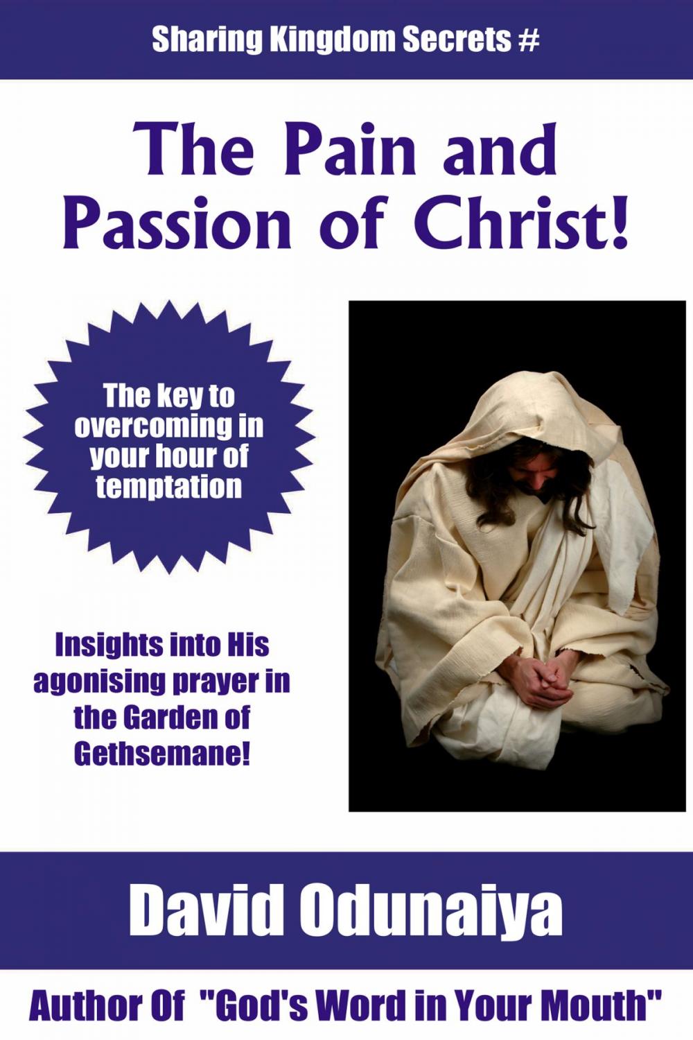 Big bigCover of The Pain and The Passion of Christ