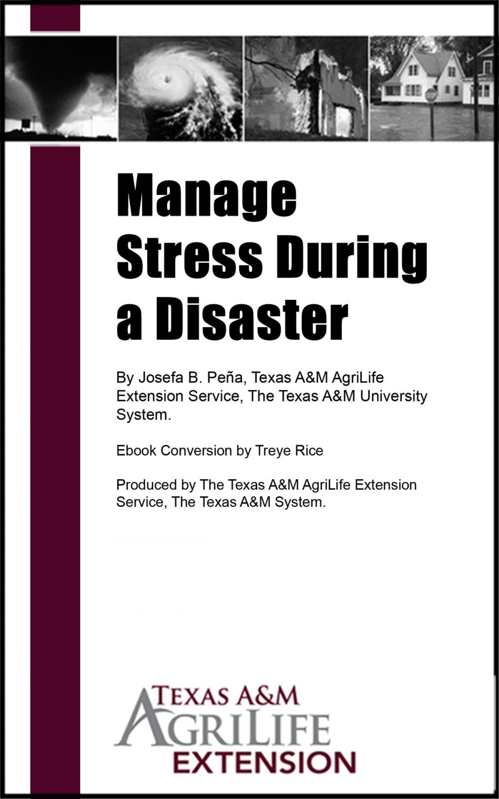 Big bigCover of Manage Stress During a Disaster