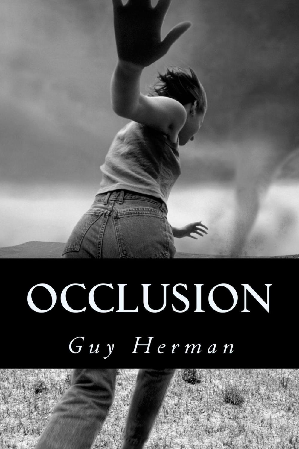 Big bigCover of Occlusion